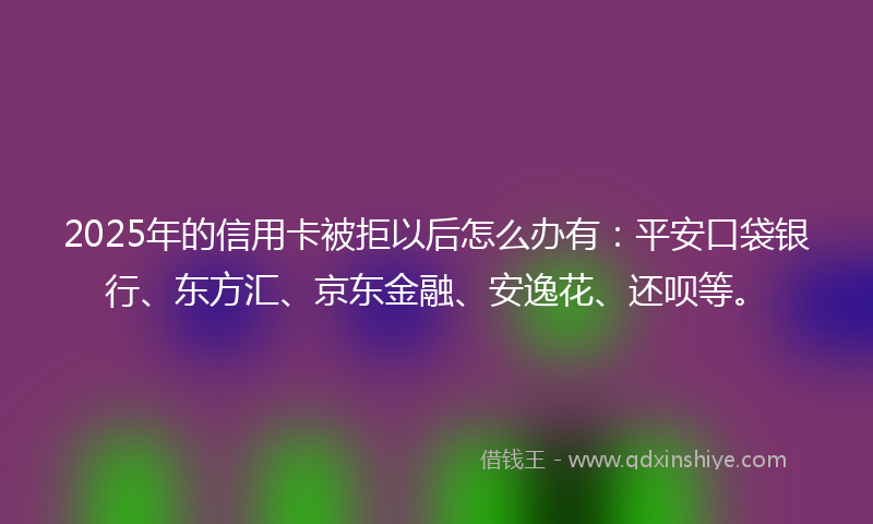 2025年的信用卡被拒以后怎么办有：平安口袋银行、东方汇、京东金融、安逸花、还呗等。