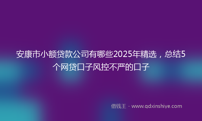 安康市小额贷款公司有哪些2025年精选，总结5个网贷口子风控不严的口子