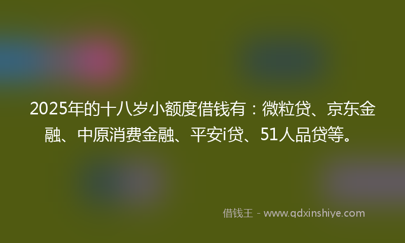 2025年的十八岁小额度借钱有：微粒贷、京东金融、中原消费金融、平安i贷、51人品贷等。
