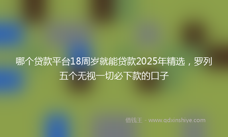哪个贷款平台18周岁就能贷款2025年精选，罗列五个无视一切必下款的口子