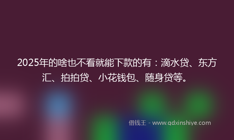 2025年的啥也不看就能下款的有：滴水贷、东方汇、拍拍贷、小花钱包、随身贷等。