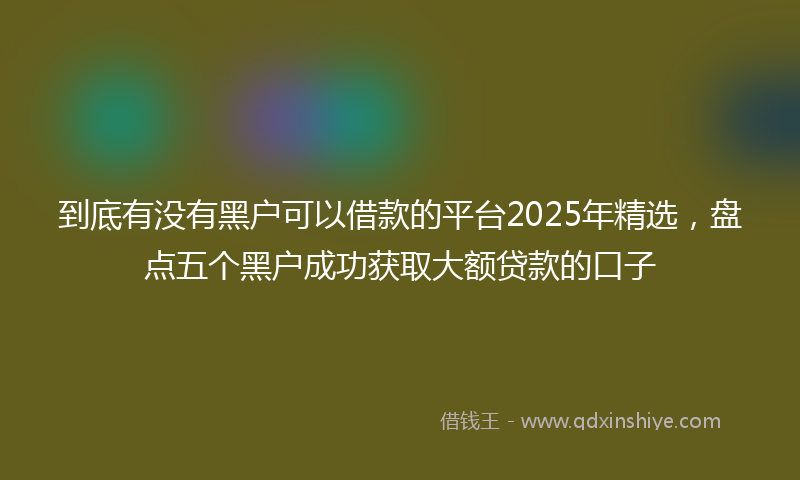 到底有没有黑户可以借款的平台2025年精选，盘点五个黑户成功获取大额贷款的口子