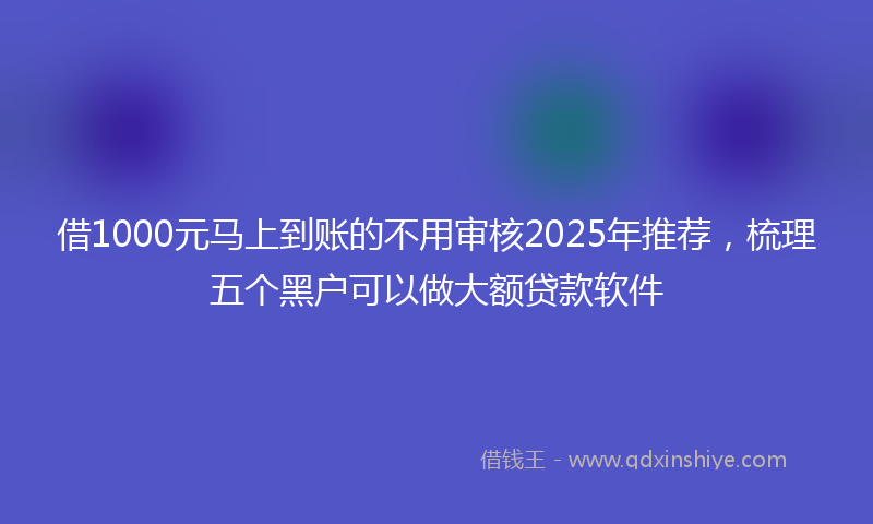 借1000元马上到账的不用审核2025年推荐，梳理五个黑户可以做大额贷款软件