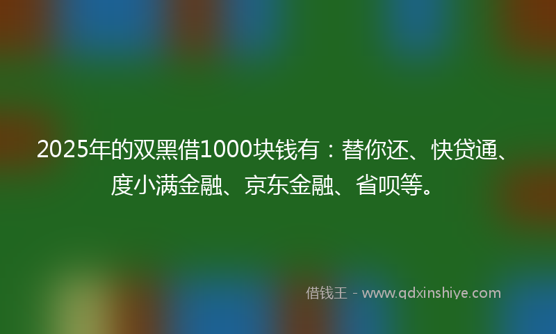 2025年的双黑借1000块钱有：替你还、快贷通、度小满金融、京东金融、省呗等。