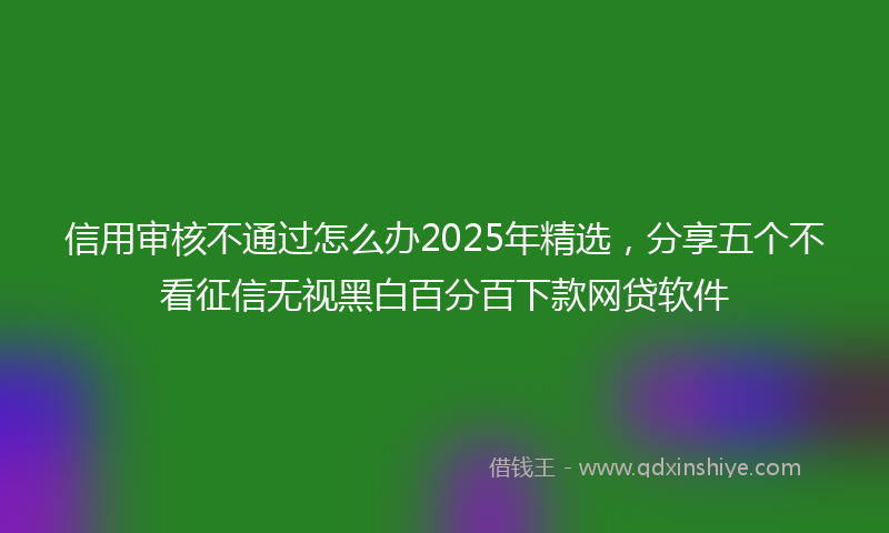 信用审核不通过怎么办2025年精选，分享五个不看征信无视黑白百分百下款网贷软件