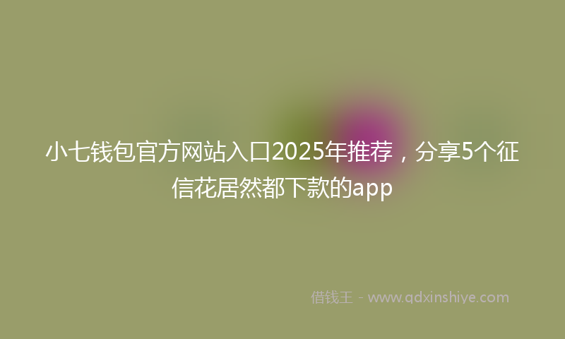 小七钱包官方网站入口2025年推荐，分享5个征信花居然都下款的app