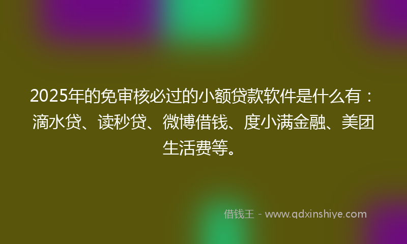2025年的免审核必过的小额贷款软件是什么有：滴水贷、读秒贷、微博借钱、度小满金融、美团生活费等。