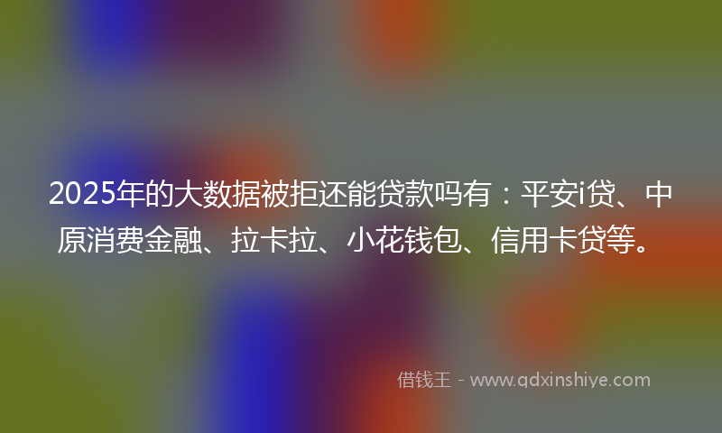 2025年的大数据被拒还能贷款吗有：平安i贷、中原消费金融、拉卡拉、小花钱包、信用卡贷等。