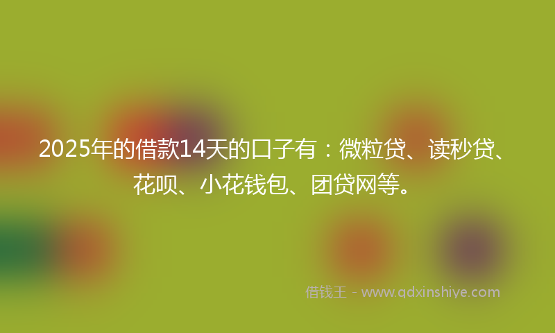 2025年的借款14天的口子有：微粒贷、读秒贷、花呗、小花钱包、团贷网等。
