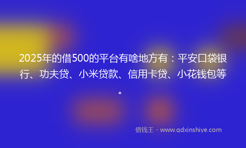 2025年的借500的平台有啥地方有：平安口袋银行、功夫贷、小米贷款、信用卡贷、小花钱包等。