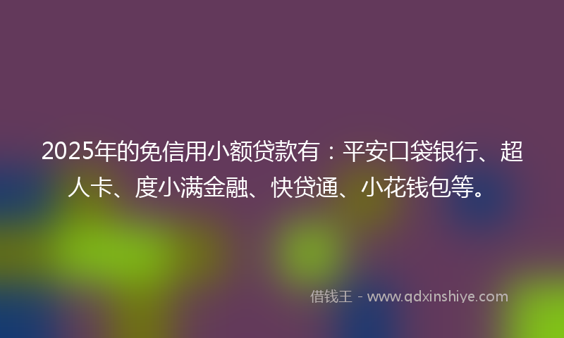 2025年的免信用小额贷款有：平安口袋银行、超人卡、度小满金融、快贷通、小花钱包等。
