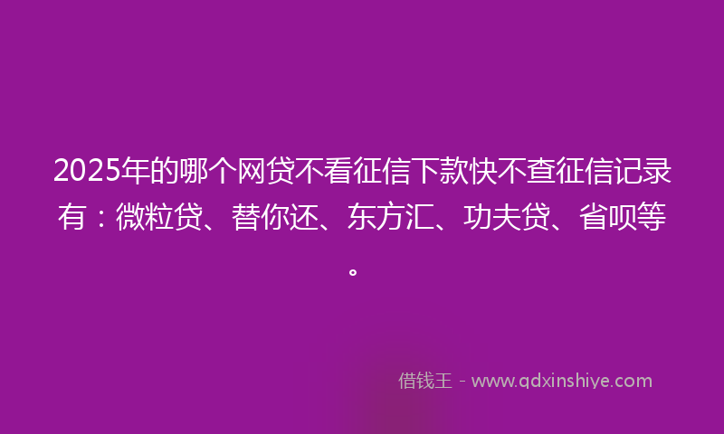 2025年的哪个网贷不看征信下款快不查征信记录有：微粒贷、替你还、东方汇、功夫贷、省呗等。