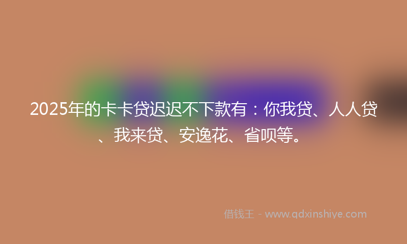 2025年的卡卡贷迟迟不下款有：你我贷、人人贷、我来贷、安逸花、省呗等。