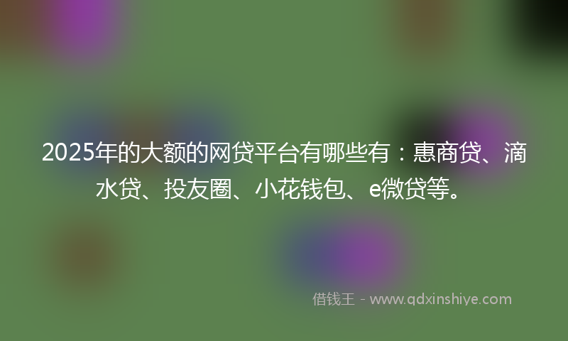 2025年的大额的网贷平台有哪些有：惠商贷、滴水贷、投友圈、小花钱包、e微贷等。