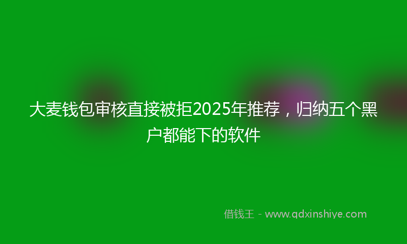 大麦钱包审核直接被拒2025年推荐，归纳五个黑户都能下的软件