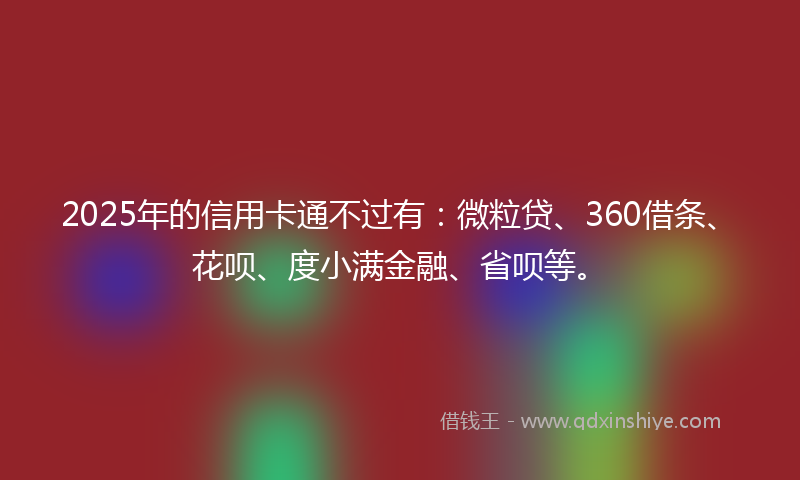 2025年的信用卡通不过有：微粒贷、360借条、花呗、度小满金融、省呗等。