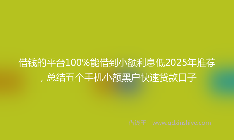借钱的平台100%能借到小额利息低2025年推荐，总结五个手机小额黑户快速贷款口子