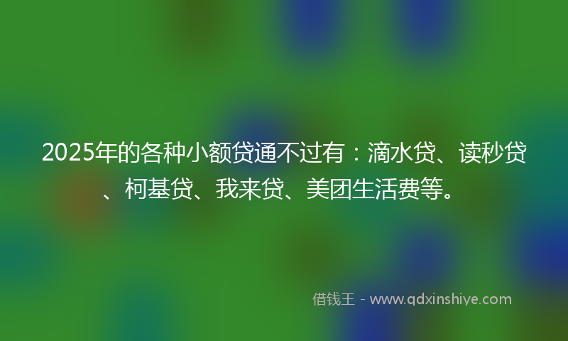 2025年的各种小额贷通不过有：滴水贷、读秒贷、柯基贷、我来贷、美团生活费等。