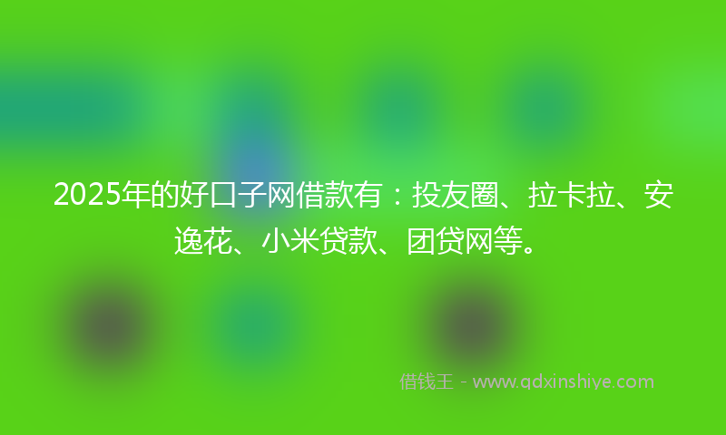 2025年的好口子网借款有：投友圈、拉卡拉、安逸花、小米贷款、团贷网等。