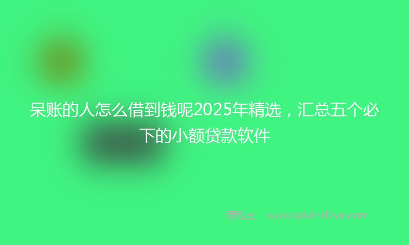 呆账的人怎么借到钱呢2025年精选，汇总五个必下的小额贷款软件