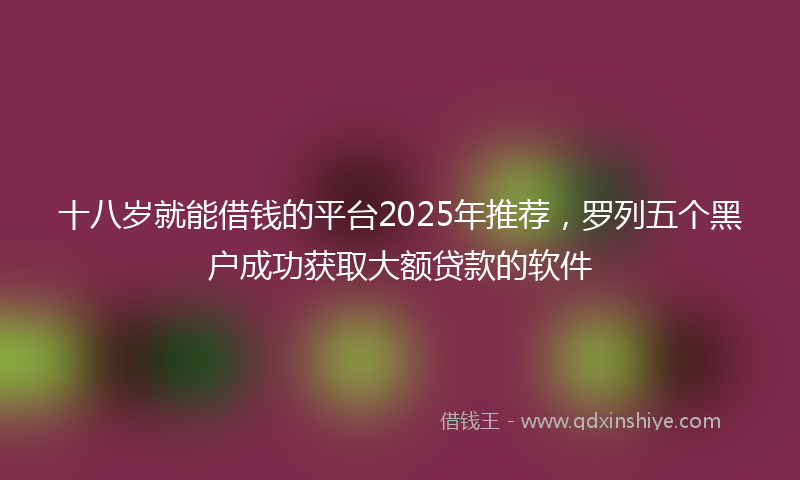 十八岁就能借钱的平台2025年推荐，罗列五个黑户成功获取大额贷款的软件