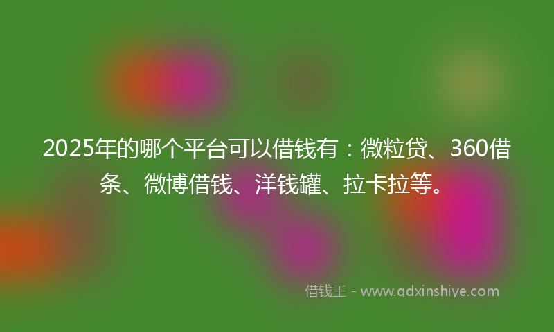 2025年的哪个平台可以借钱有：微粒贷、360借条、微博借钱、洋钱罐、拉卡拉等。