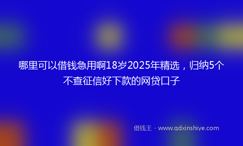 哪里可以借钱急用啊18岁2025年精选，归纳5个不查征信好下款的网贷口子