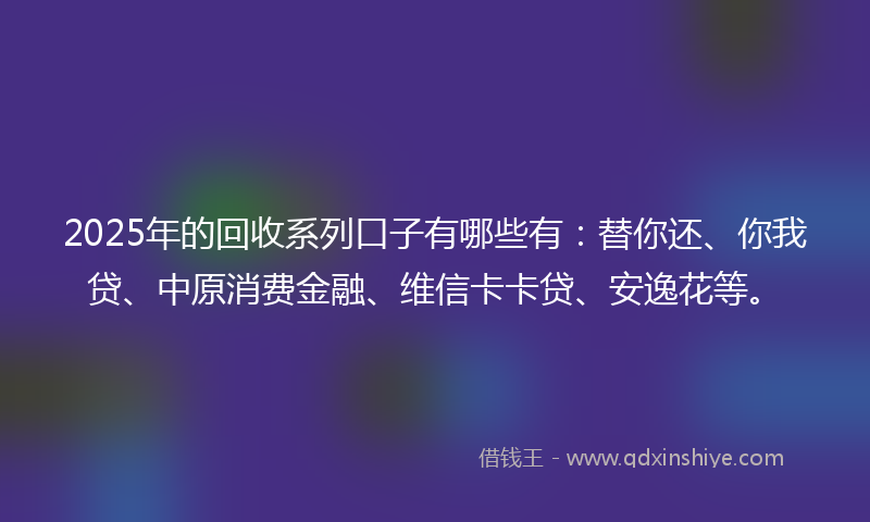 2025年的回收系列口子有哪些有：替你还、你我贷、中原消费金融、维信卡卡贷、安逸花等。