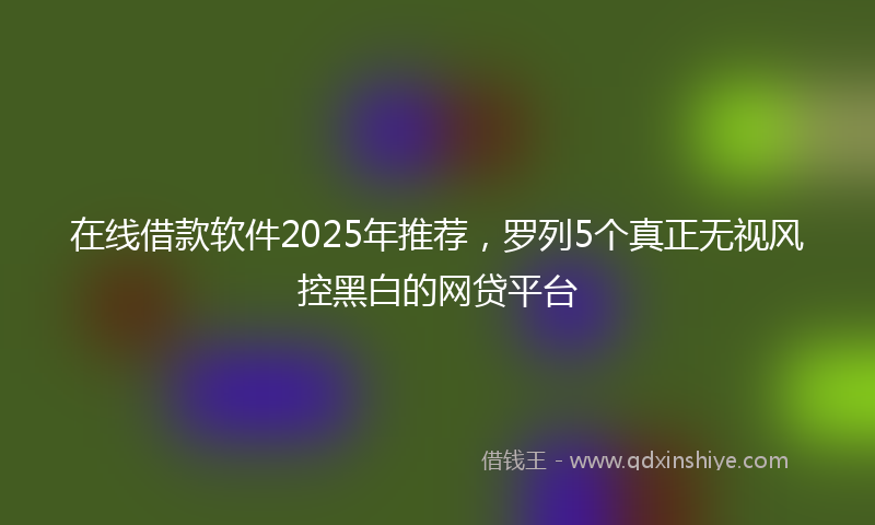 在线借款软件2025年推荐，罗列5个真正无视风控黑白的网贷平台