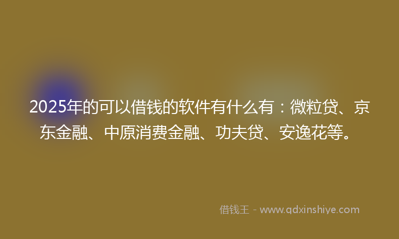 2025年的可以借钱的软件有什么有：微粒贷、京东金融、中原消费金融、功夫贷、安逸花等。