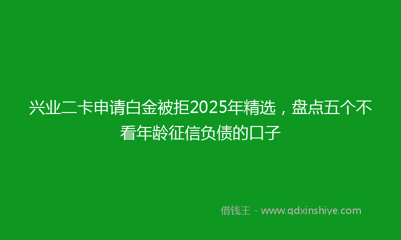 兴业二卡申请白金被拒2025年精选，盘点五个不看年龄征信负债的口子