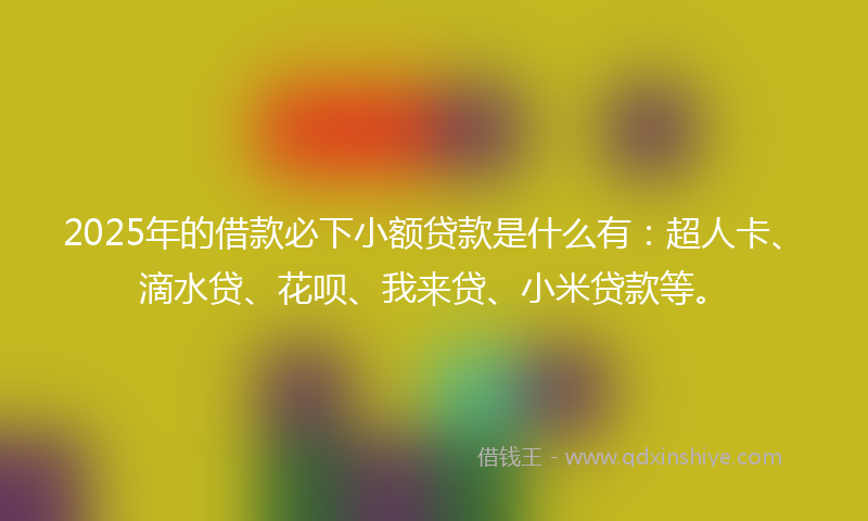 2025年的借款必下小额贷款是什么有：超人卡、滴水贷、花呗、我来贷、小米贷款等。