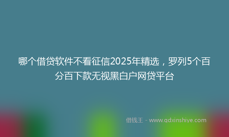 哪个借贷软件不看征信2025年精选，罗列5个百分百下款无视黑白户网贷平台