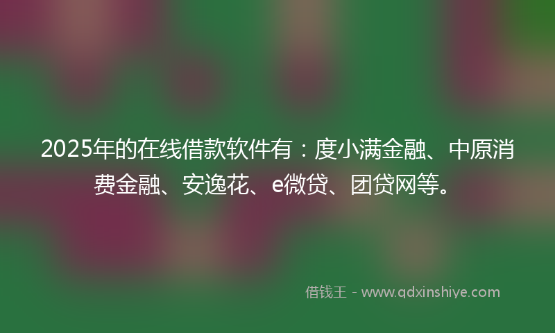 2025年的在线借款软件有：度小满金融、中原消费金融、安逸花、e微贷、团贷网等。