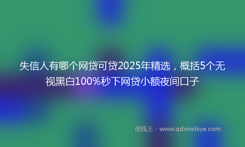 失信人有哪个网贷可贷2025年精选，概括5个无视黑白100%秒下网贷小额夜间口子