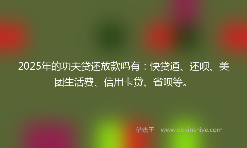 2025年的功夫贷还放款吗有：快贷通、还呗、美团生活费、信用卡贷、省呗等。