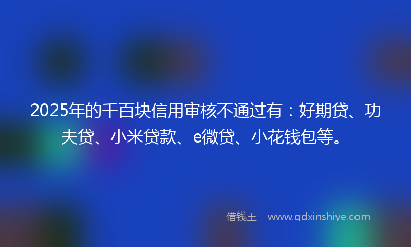 2025年的千百块信用审核不通过有：好期贷、功夫贷、小米贷款、e微贷、小花钱包等。