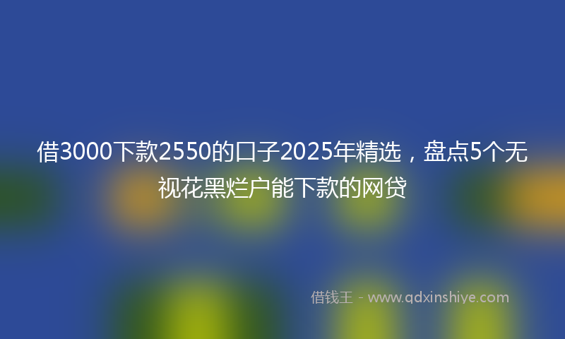 借3000下款2550的口子2025年精选，盘点5个无视花黑烂户能下款的网贷