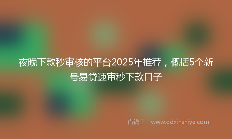 夜晚下款秒审核的平台2025年推荐，概括5个新号易贷速审秒下款口子