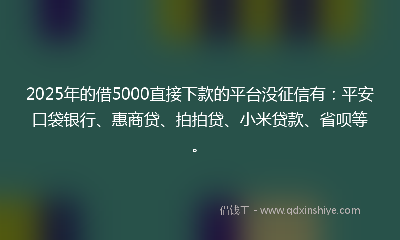 2025年的借5000直接下款的平台没征信有：平安口袋银行、惠商贷、拍拍贷、小米贷款、省呗等。