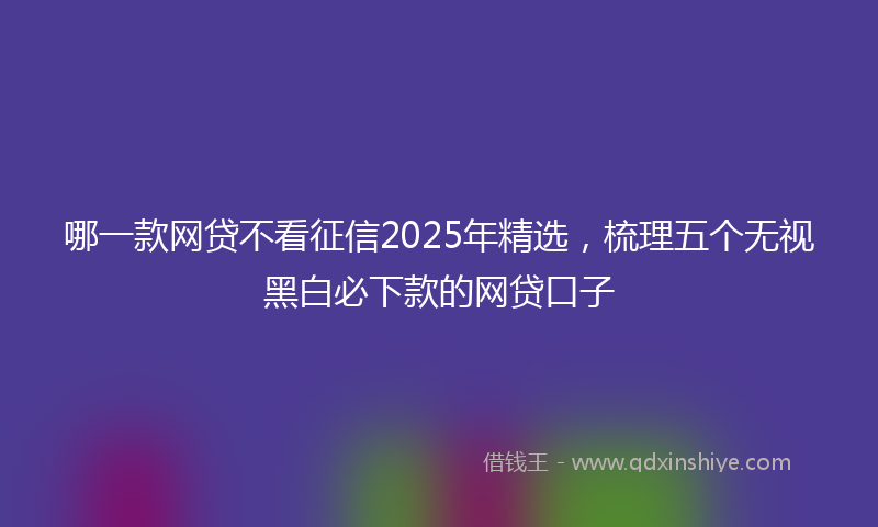 哪一款网贷不看征信2025年精选，梳理五个无视黑白必下款的网贷口子