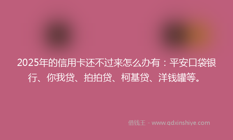 2025年的信用卡还不过来怎么办有：平安口袋银行、你我贷、拍拍贷、柯基贷、洋钱罐等。