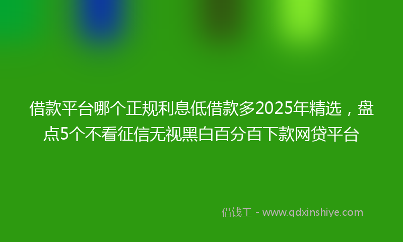 借款平台哪个正规利息低借款多2025年精选，盘点5个不看征信无视黑白百分百下款网贷平台