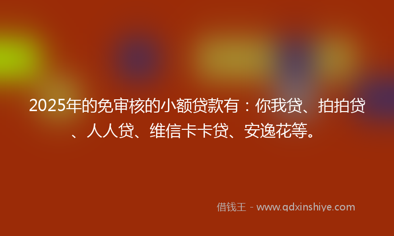 2025年的免审核的小额贷款有：你我贷、拍拍贷、人人贷、维信卡卡贷、安逸花等。