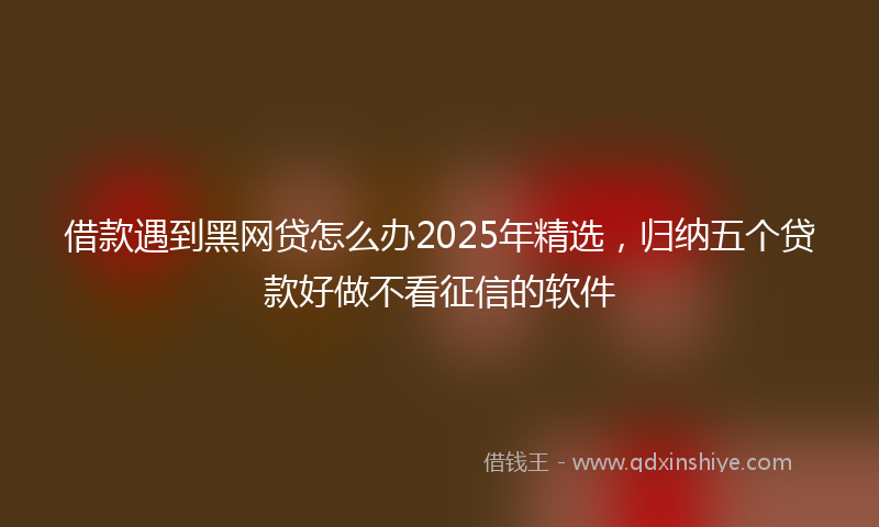 借款遇到黑网贷怎么办2025年精选，归纳五个贷款好做不看征信的软件