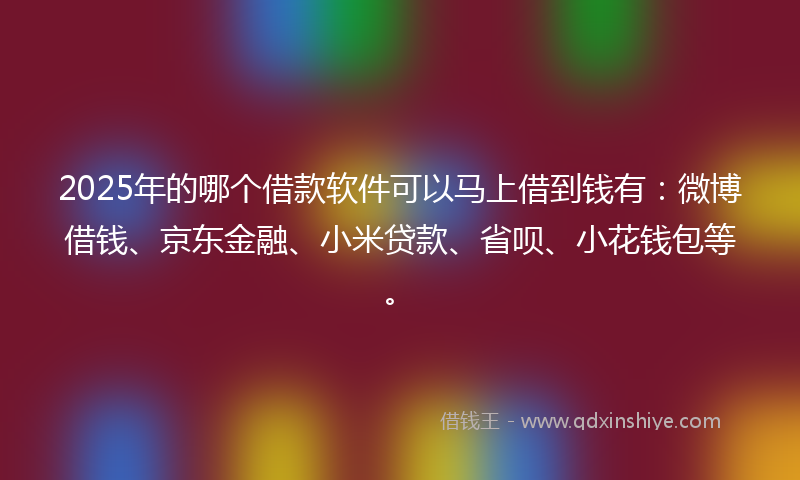 2025年的哪个借款软件可以马上借到钱有：微博借钱、京东金融、小米贷款、省呗、小花钱包等。
