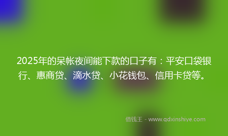 2025年的呆帐夜间能下款的口子有：平安口袋银行、惠商贷、滴水贷、小花钱包、信用卡贷等。