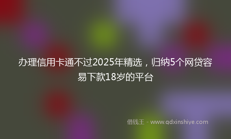 办理信用卡通不过2025年精选，归纳5个网贷容易下款18岁的平台
