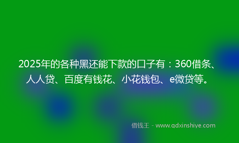 2025年的各种黑还能下款的口子有：360借条、人人贷、百度有钱花、小花钱包、e微贷等。