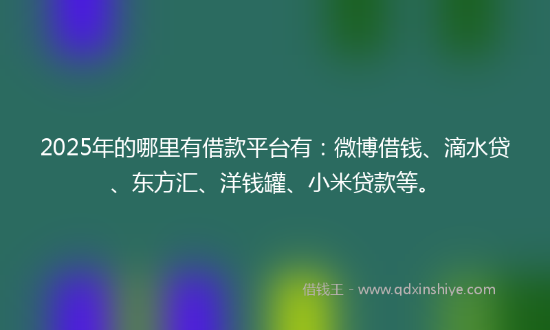 2025年的哪里有借款平台有：微博借钱、滴水贷、东方汇、洋钱罐、小米贷款等。